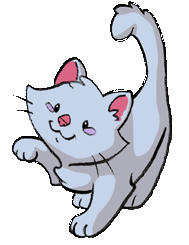 Gato