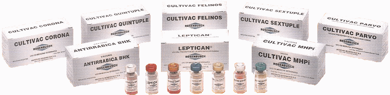 vacunas